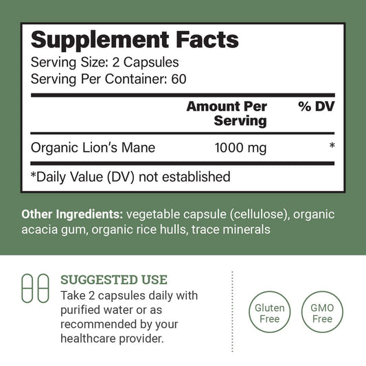 Close-up of Lions Mane mushroom extract