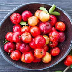 Earthborn Elements Acerola Cherry packaging with USA encapsulation note