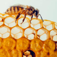 Gluten-free and natural badge for Bee Propolis