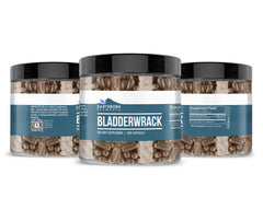 Earthborn Elements Bladderwrack capsules encapsulated in USA