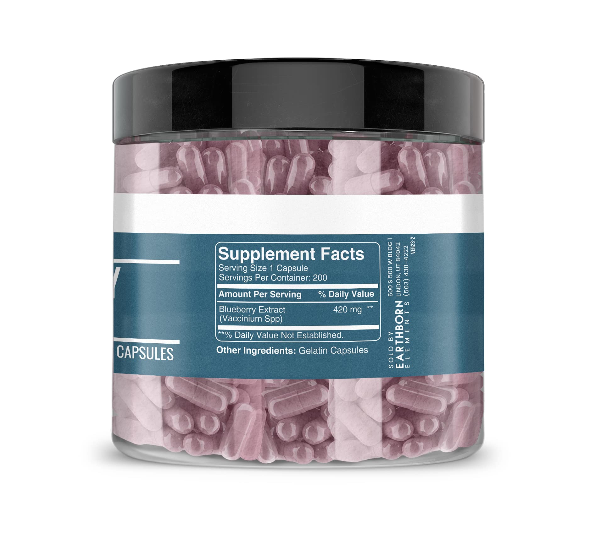Earthborn Elements Blueberry Pack of 2 boxes