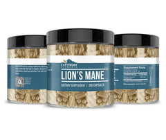 Hericium erinaceus ingredient (Lion’s Mane) detail for Earthborn Elements