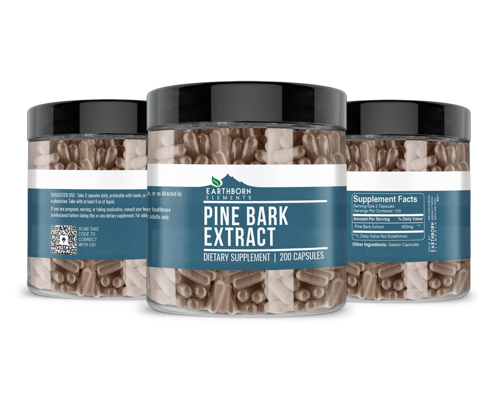 Pine Bark Extract capsules from Pinus Massoniana