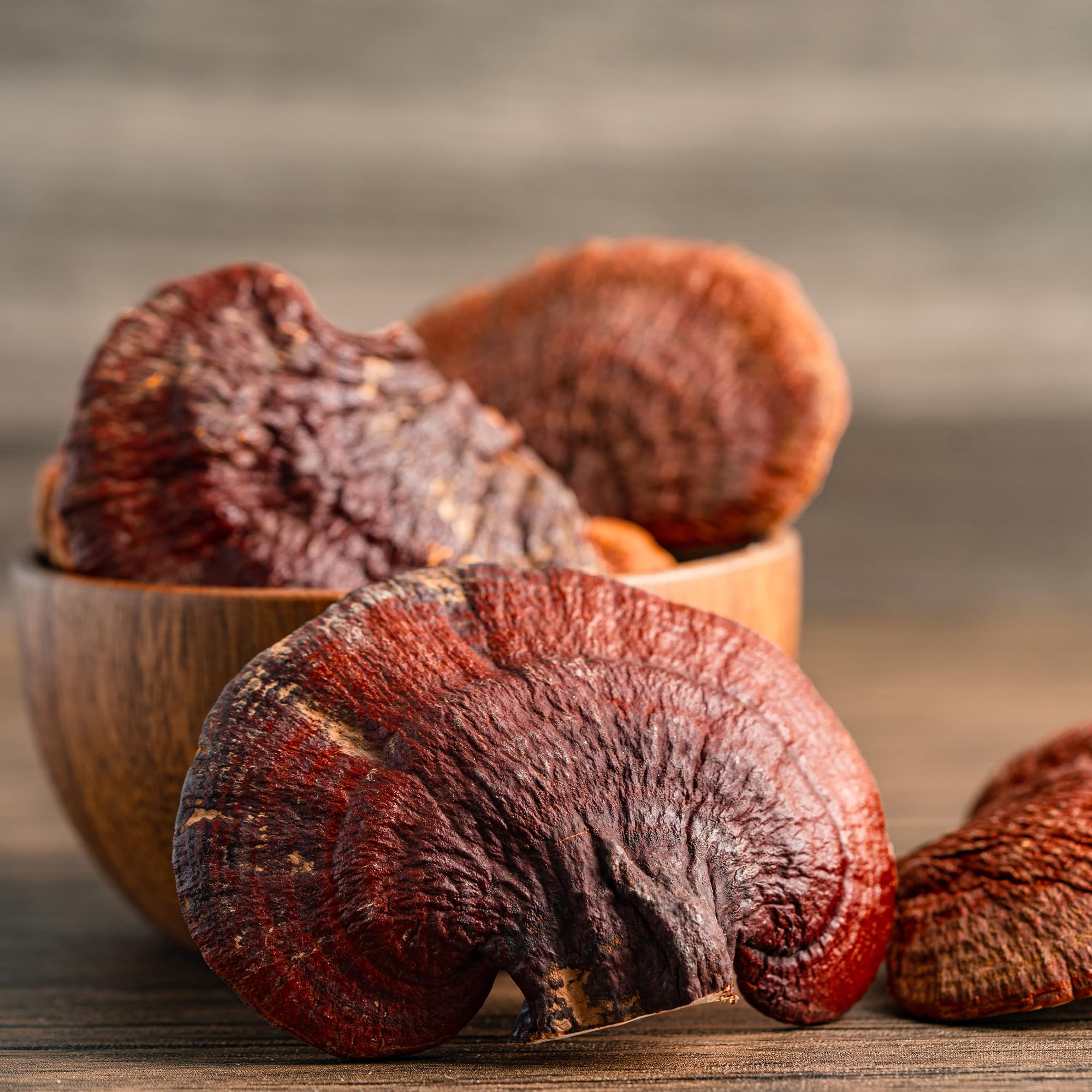 Ingredients: pure and undiluted Reishi mushroom capsules