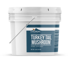 Close-up of Turkey Tail Mushroom Powder texture