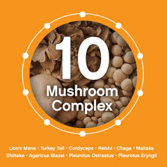 Reishi mushroom among the 10-mushroom complex