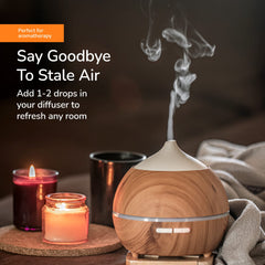 Earth's Care Cinnamon Cassia Oil diffuser setup creating warm ambiance.