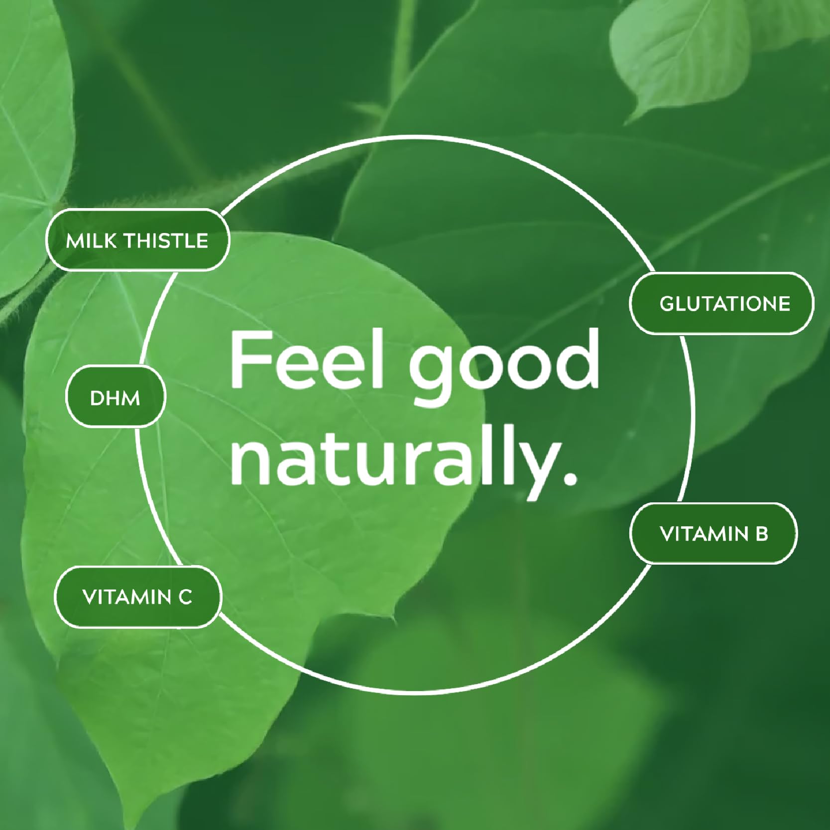 EASY TOMORROW on-the-go energy support during busy days
