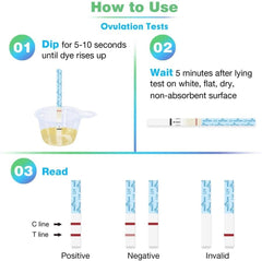 Testing steps and instructions