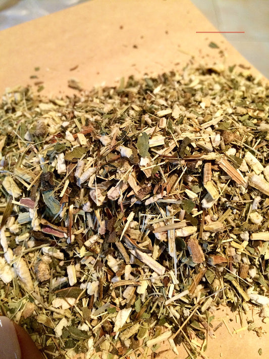 Close-up of dried Echinacea purpurea flowers