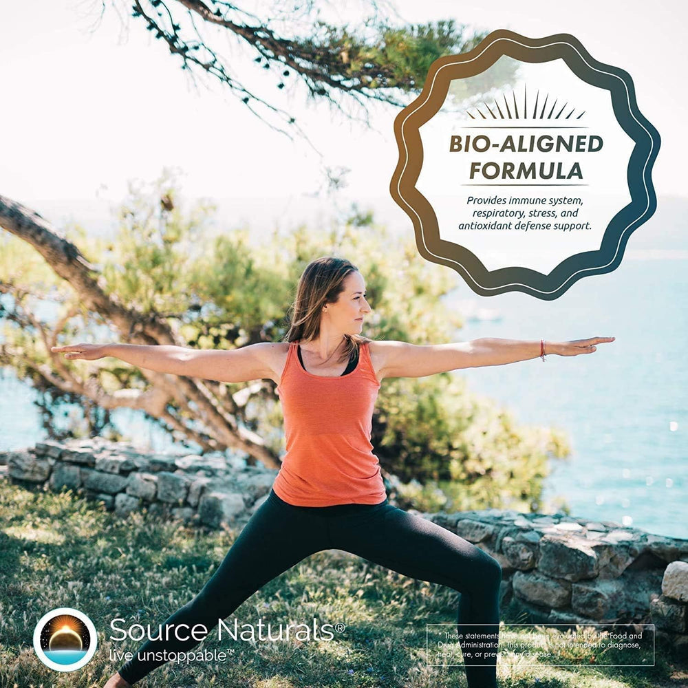 Traditional boosters: Echinacea, elderberry, horehound