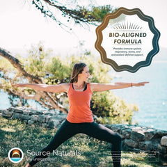 Traditional boosters: Echinacea, elderberry, horehound