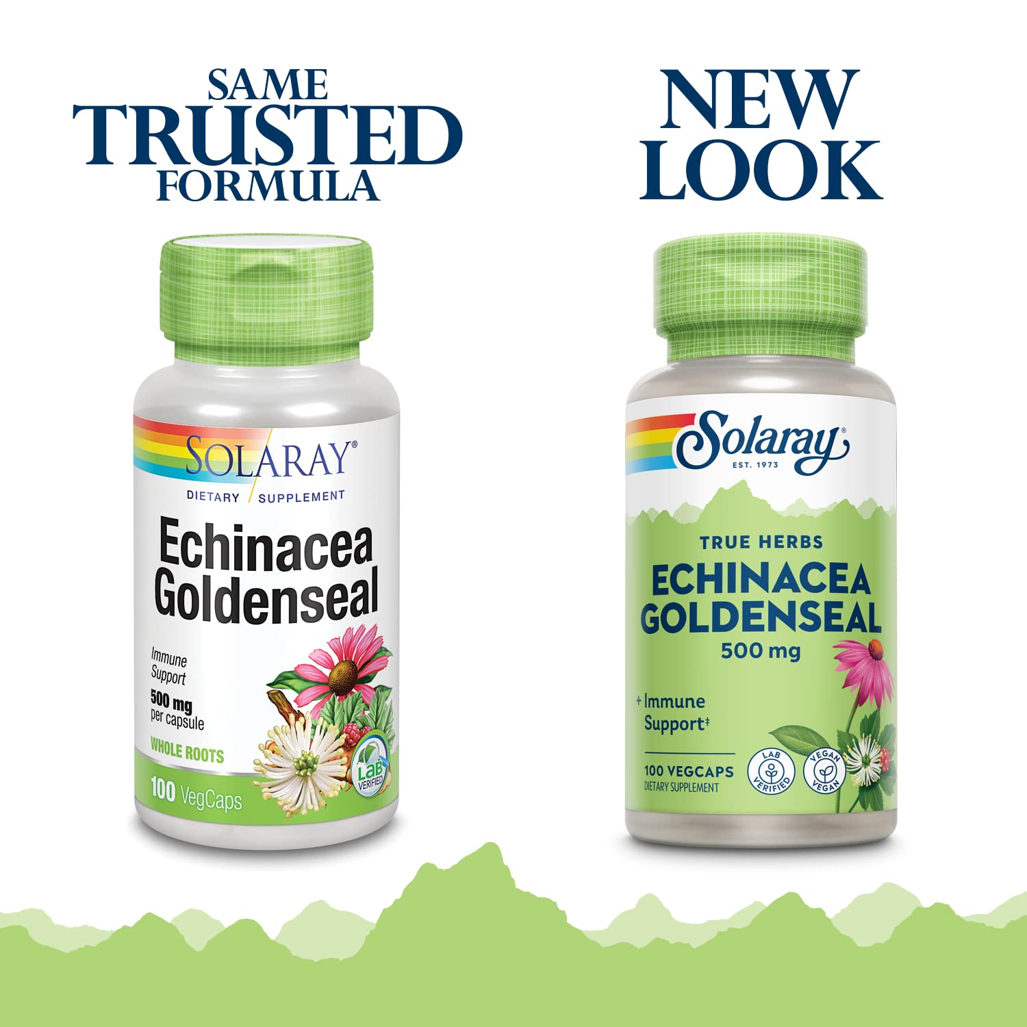 Echinacea purpurea and Echinacea angustifolia roots 250mg blend