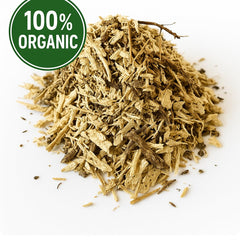 Close-up of air-dried Echinacea purpurea roots