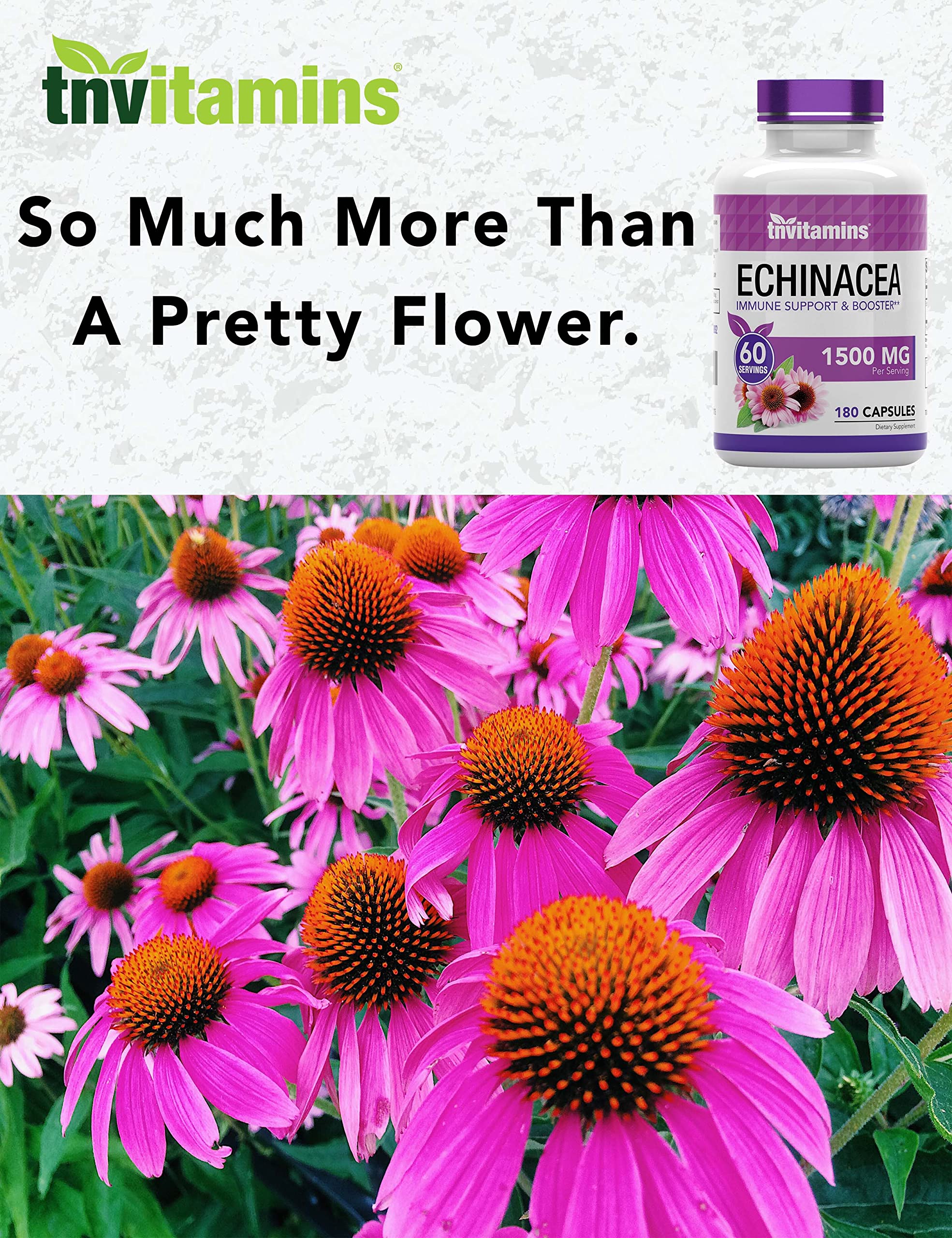 100% pure Echinacea root extract herbal supplement