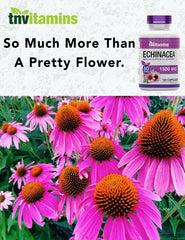 100% pure Echinacea root extract herbal supplement
