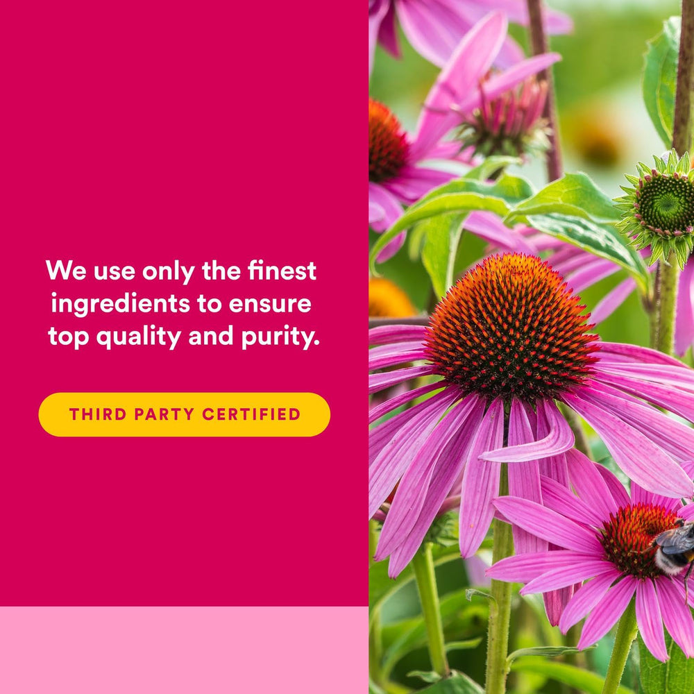 Whole-herb echinacea visually represented