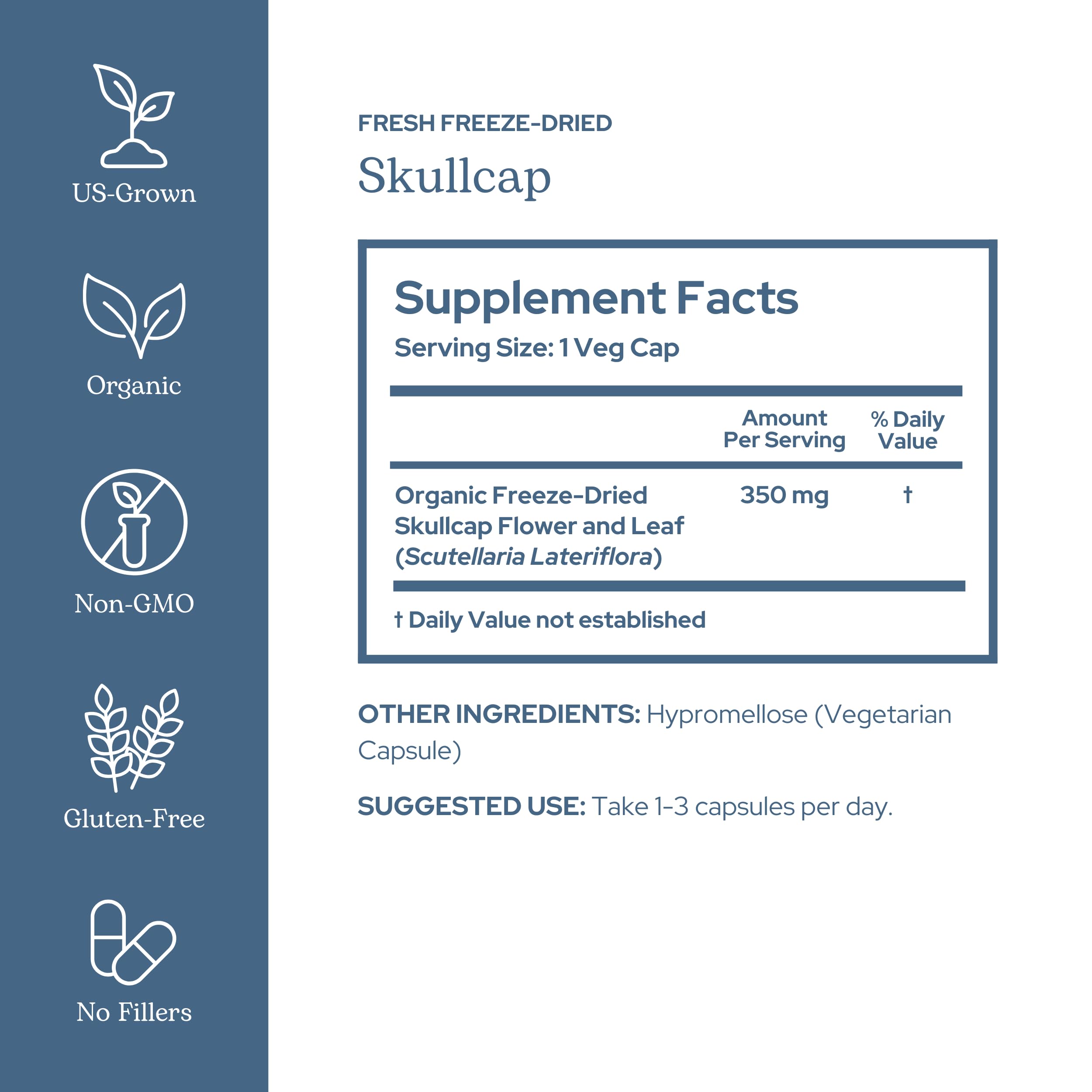 Skullcap plant leaves and flowers used in capsules