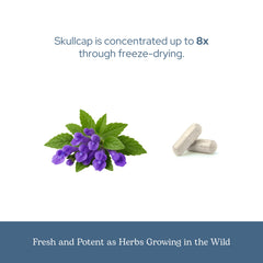 90-count Skullcap Capsules packaging with calm sleep imagery