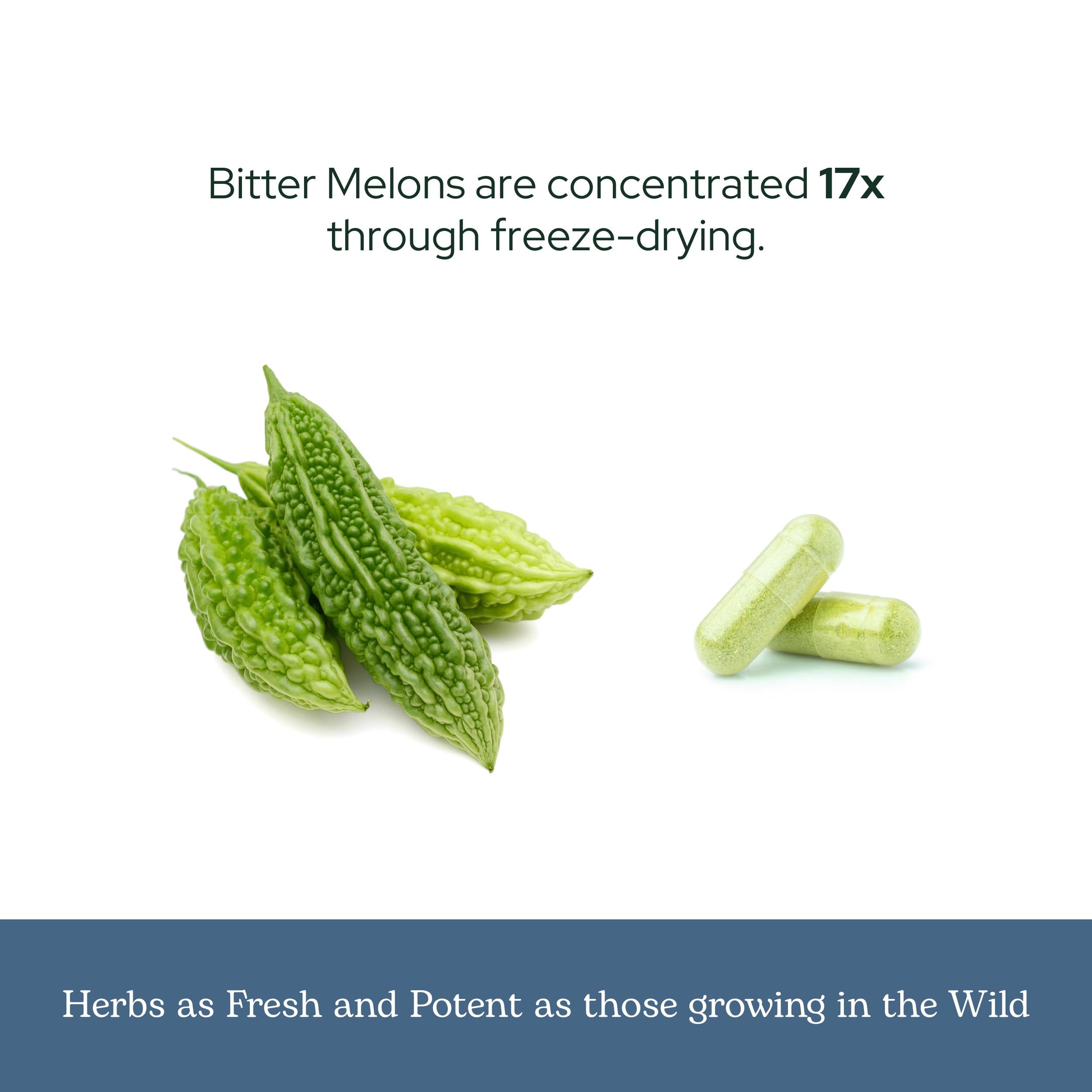 Freeze-drying equipment used for whole herb Bitter Melon