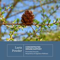 Lab-tested potency seal on Larix capsules packaging
