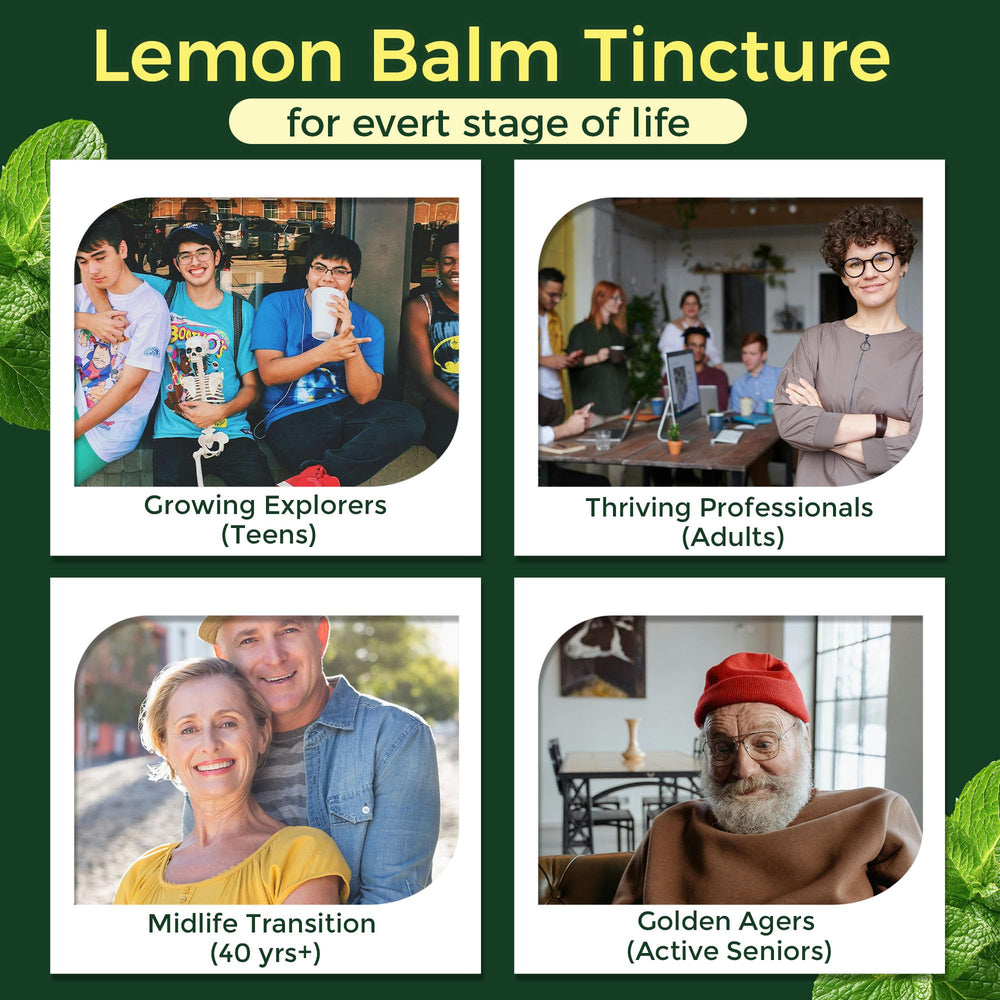 Eco-friendly packaging for Lemon Balm Tincture