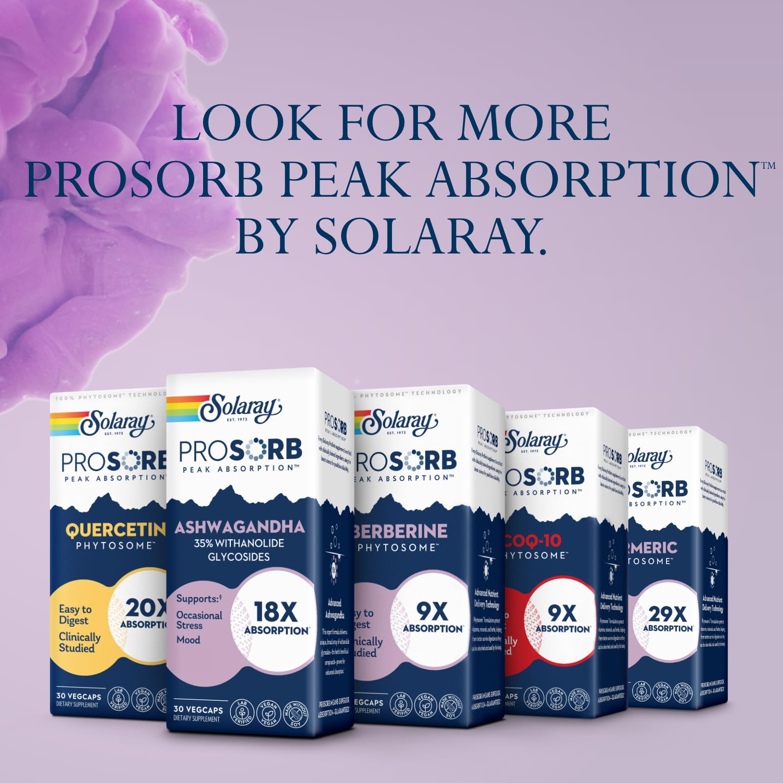 Eco-friendly packaging at Solaray facility in Ogden, Utah