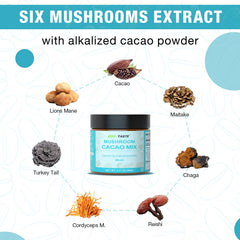 Mushroom fruiting bodies used in ECO-TASTE mix: Lion's Mane, Reishi, Turkey Tail, Maitake, Cordyceps M., and Chaga