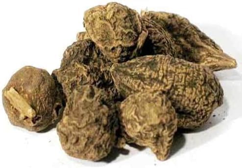 Close-up of High John the Conqueror root