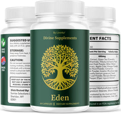 Lifestyle scene with vitamins and health supplements