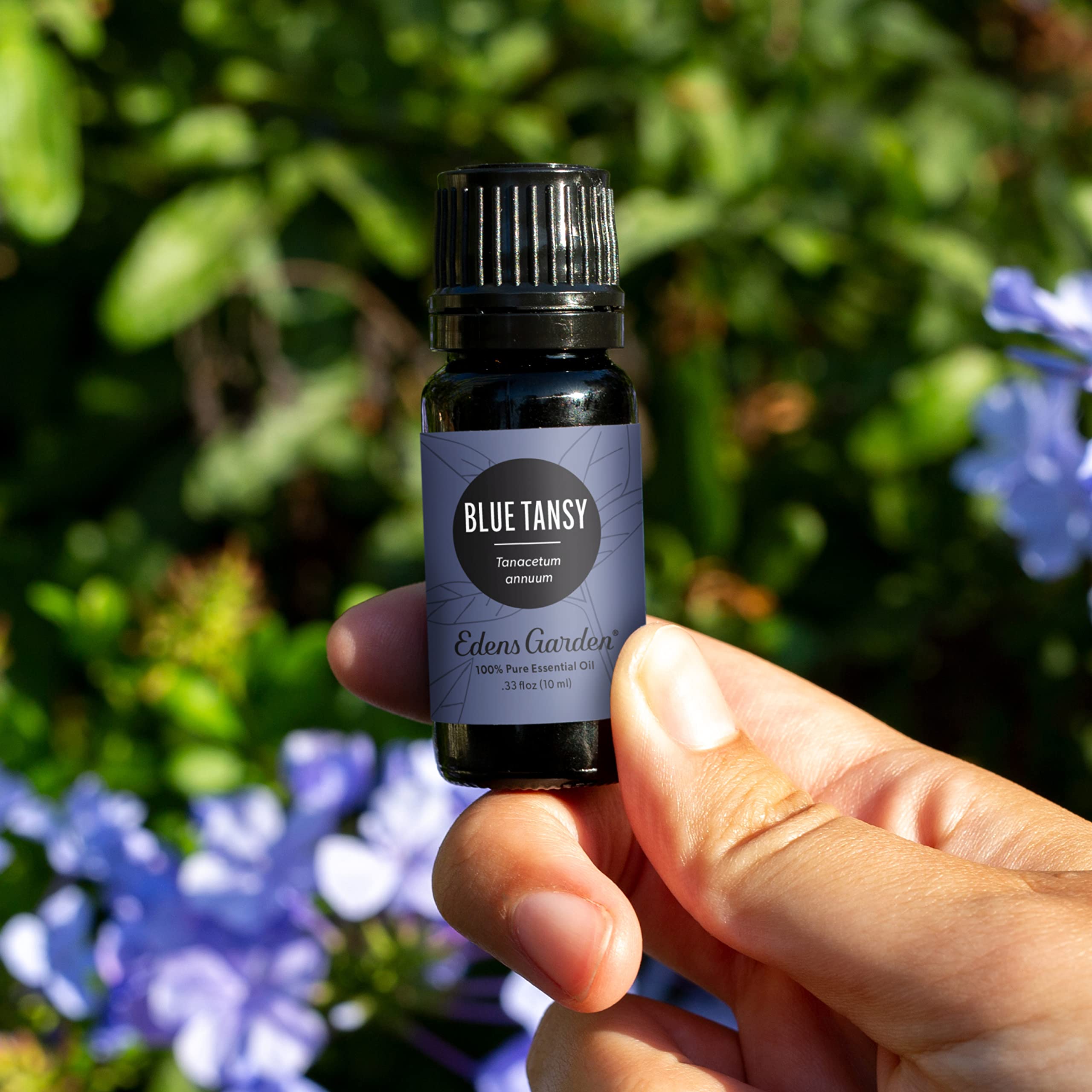 Blue Tansy essential oil bottle close-up label