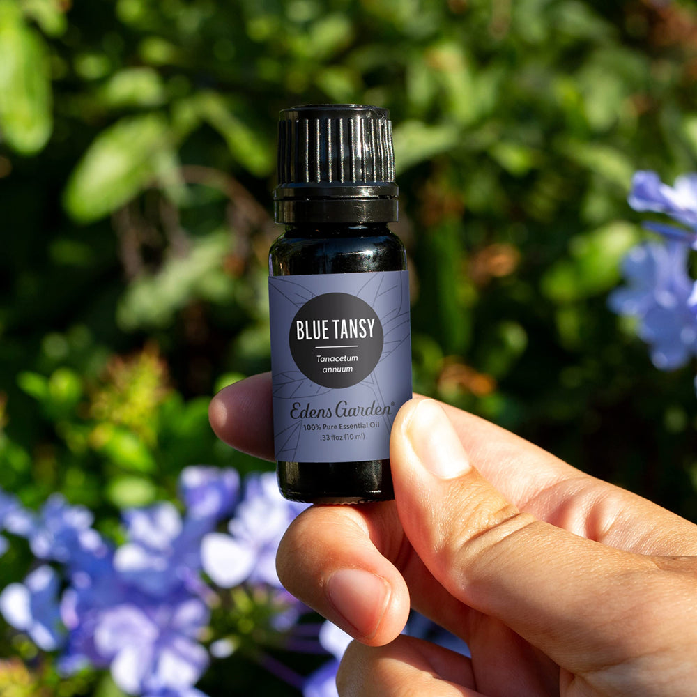 Blue Tansy essential oil bottle close-up label