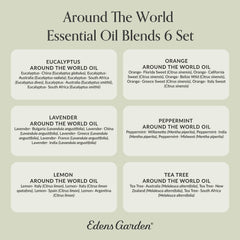 Diffuser scene with Around The World oils in use