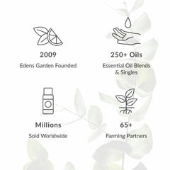 Products display with essential oil bottles