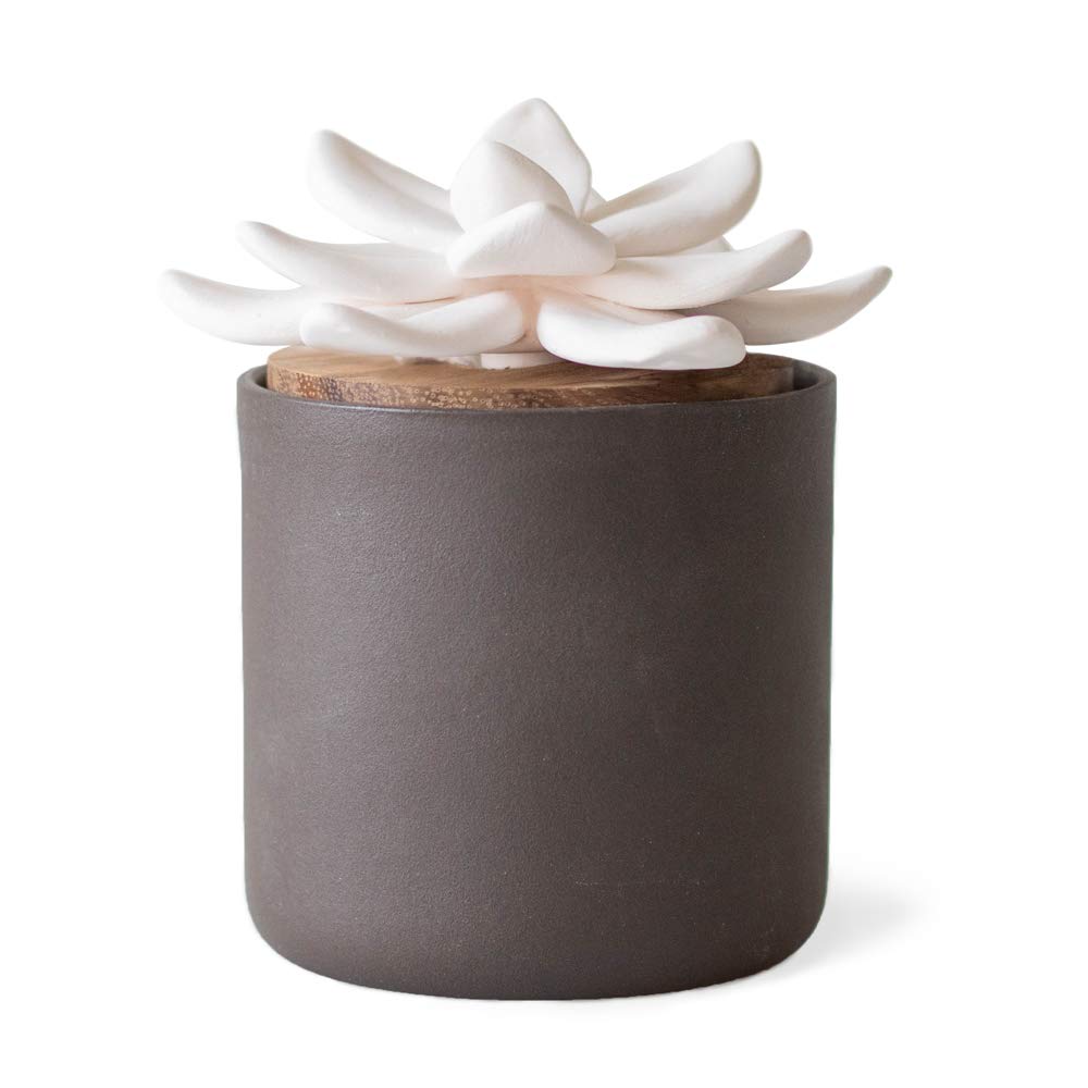 Edens Garden Charcoal Ceramic Bloom Diffuser closeup shows handmade wick for subtle aromatherapy.