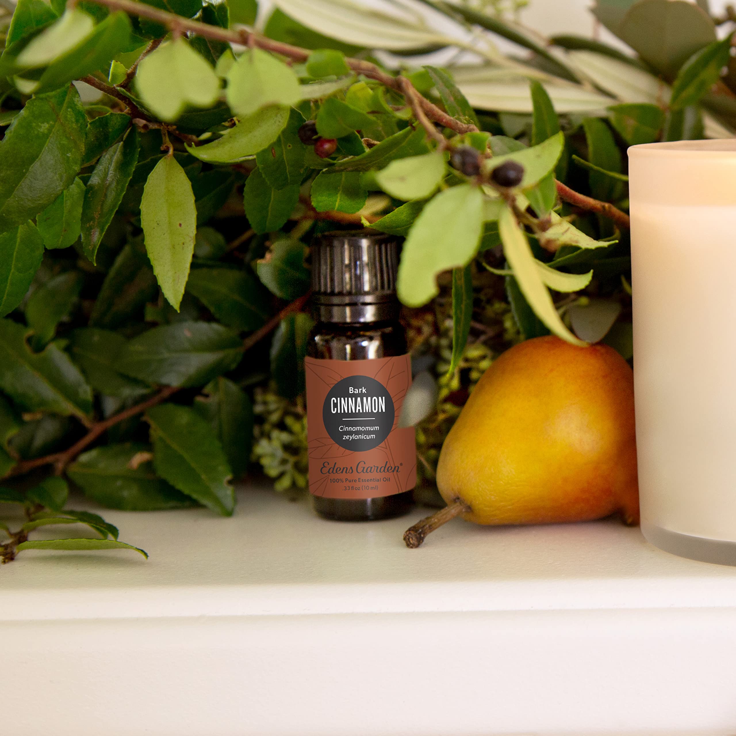 Cinnamon Bark essential oil diffuser blend