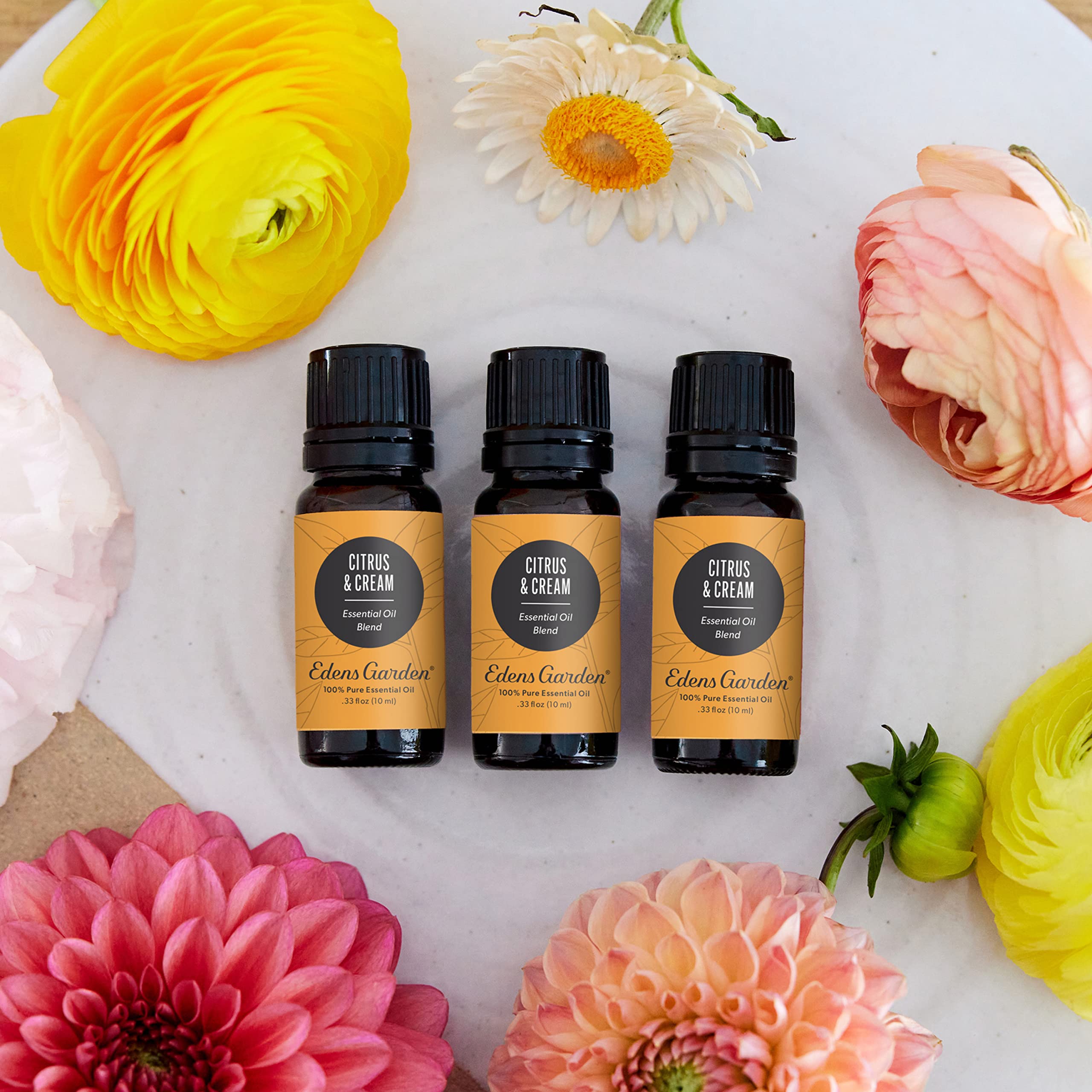 Label for Edens Garden Citrus Cream Essential Oil Blend