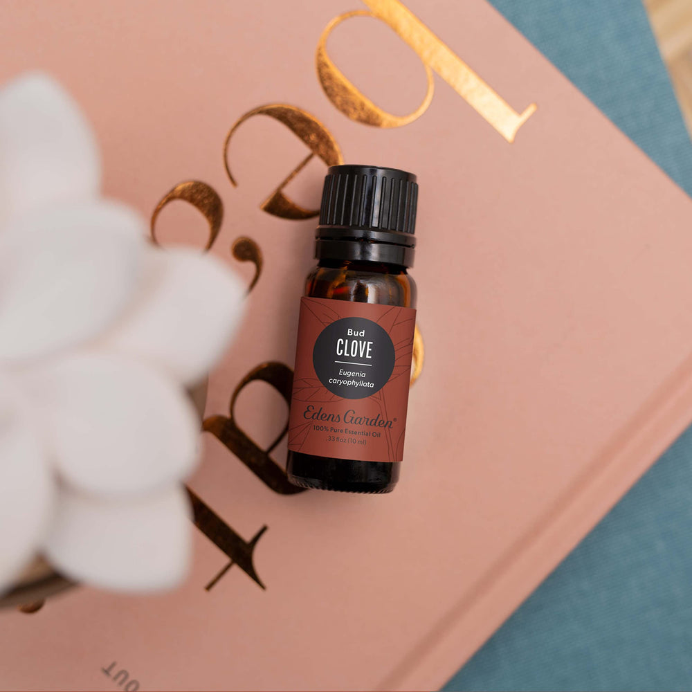 Clove Bud Essential Oil dropper bottle close up