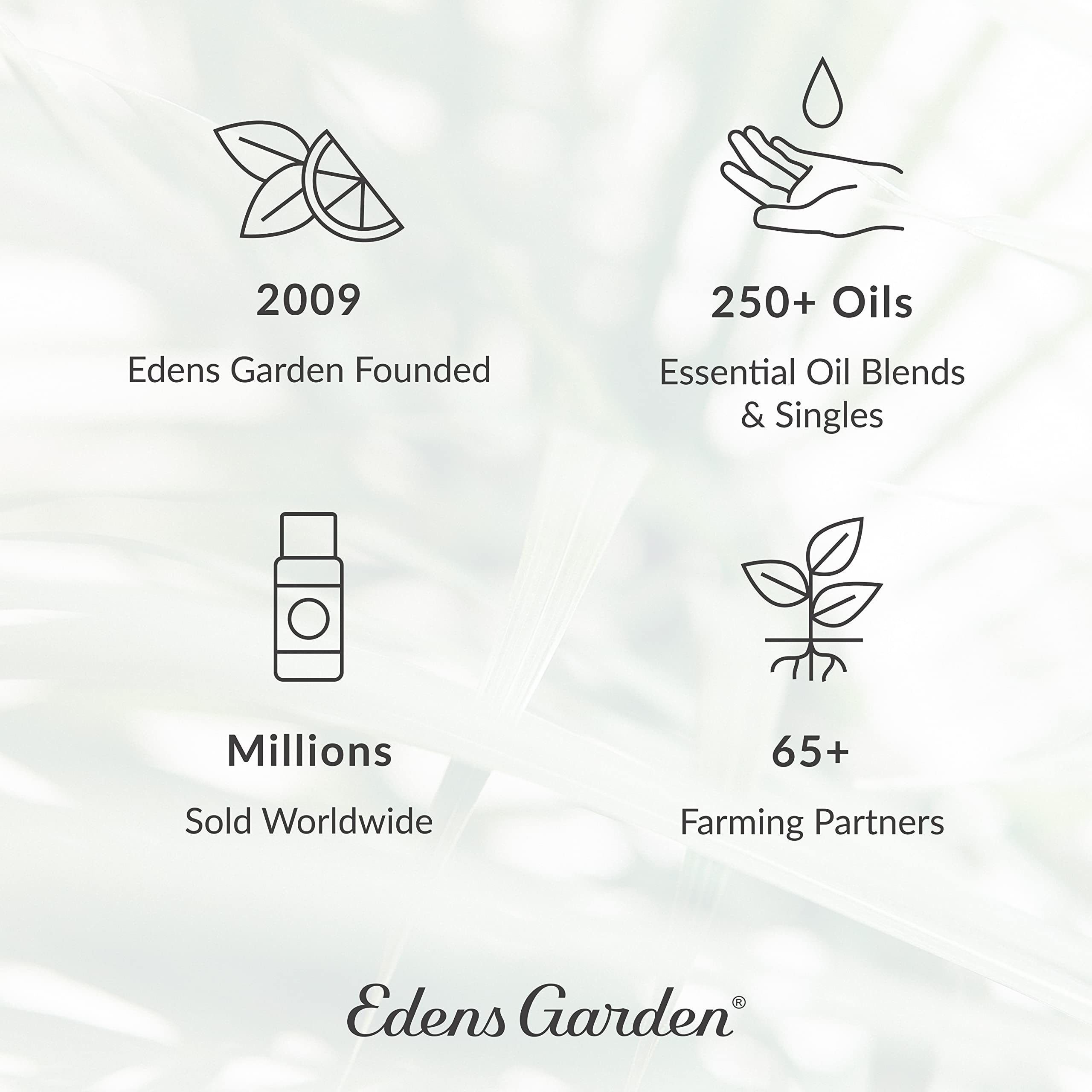 Relaxing Home essential oil 10 ml bottle from Edens Garden De-Stress 6 Set