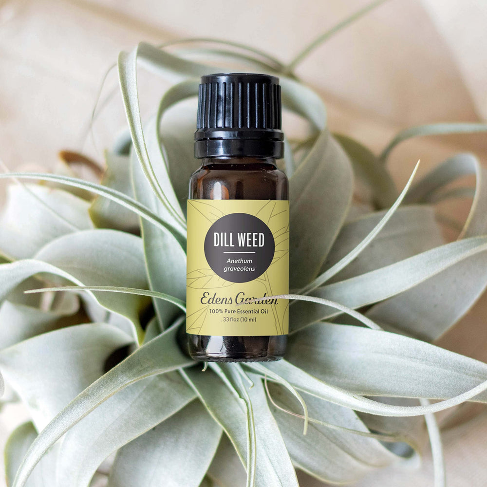 Close-up of dill weed essential oil label