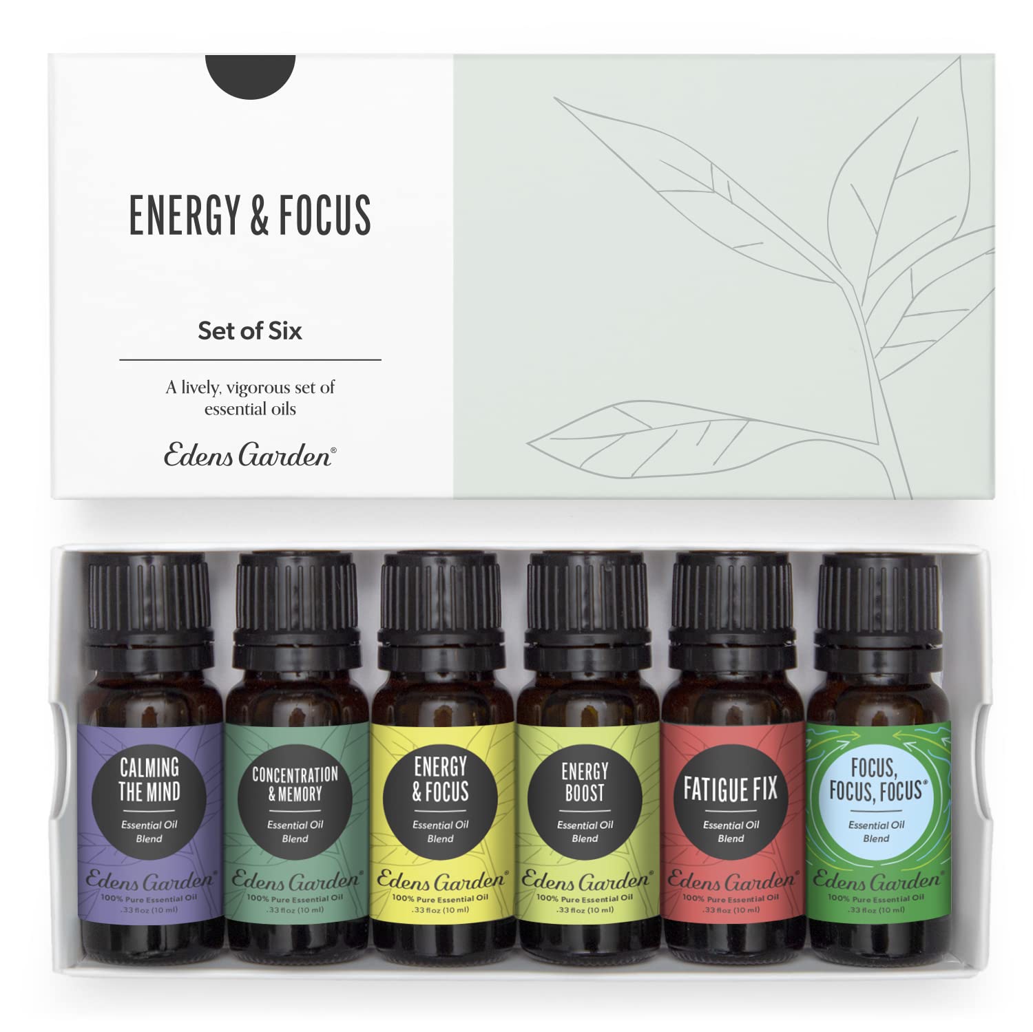 Edens Garden Energy & Focus 6-set display featuring bottles