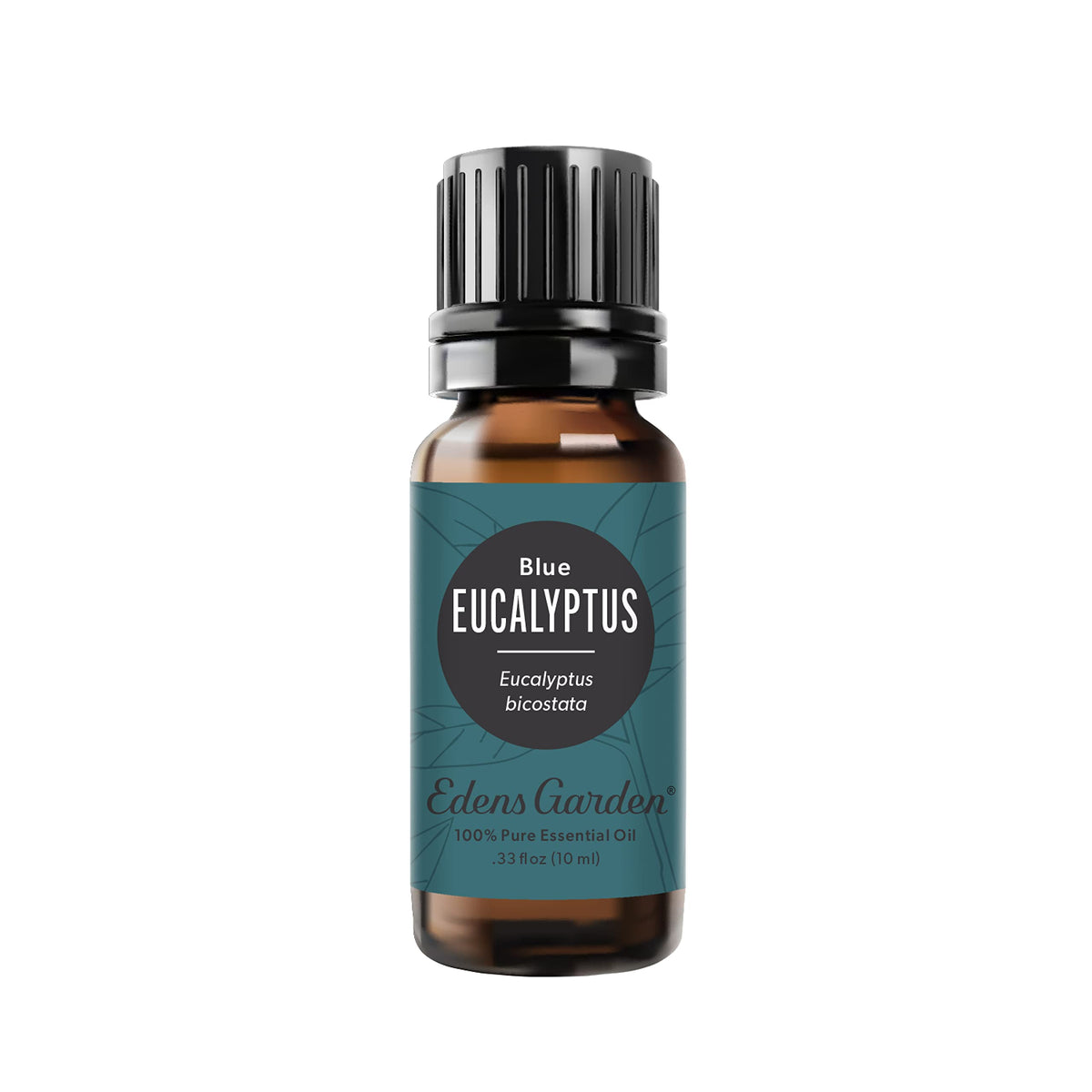 Edens Garden Eucalyptus-Blue essential oil bottle 10 ml front view