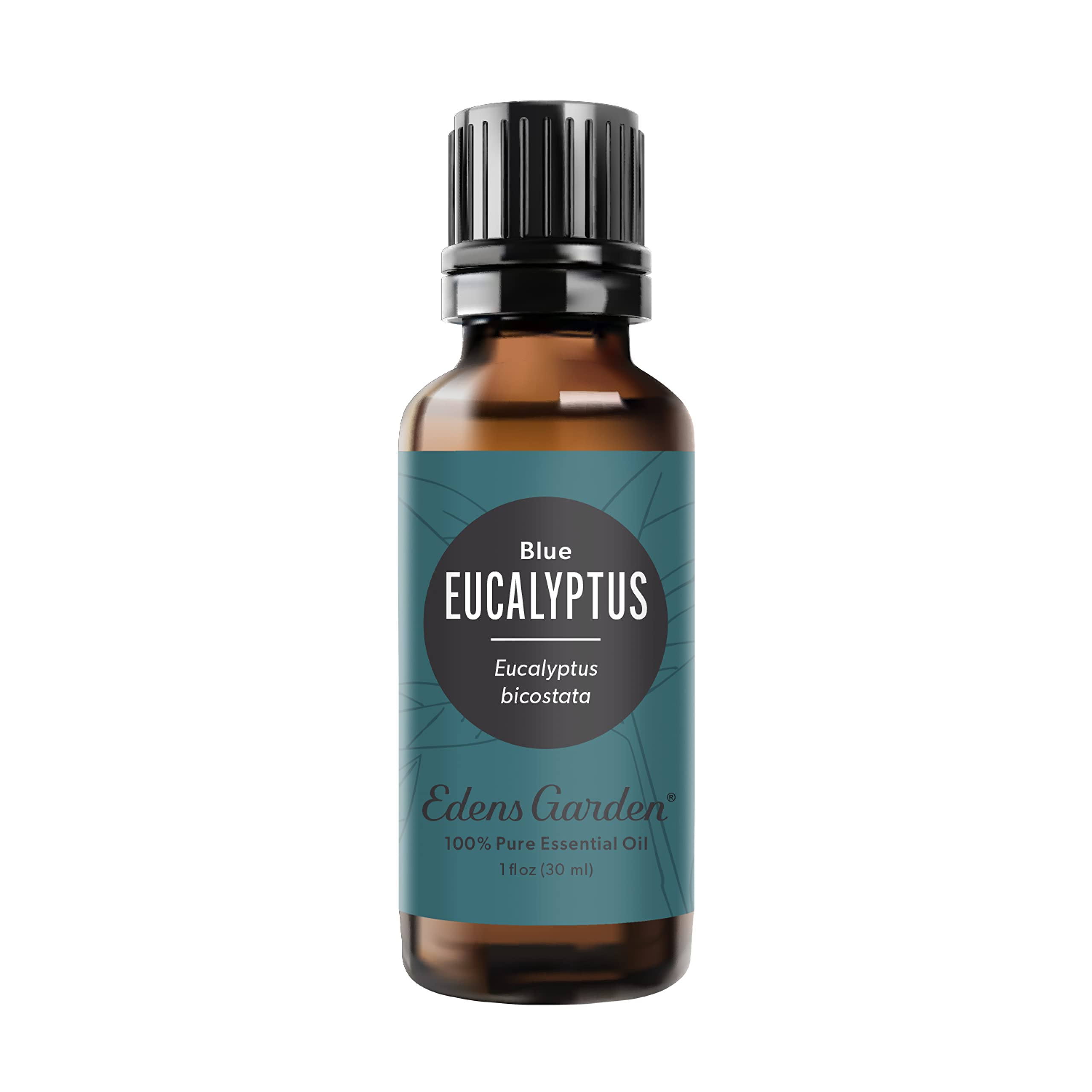 Edens Garden Eucalyptus-Blue essential oil bottle 30 ml on white