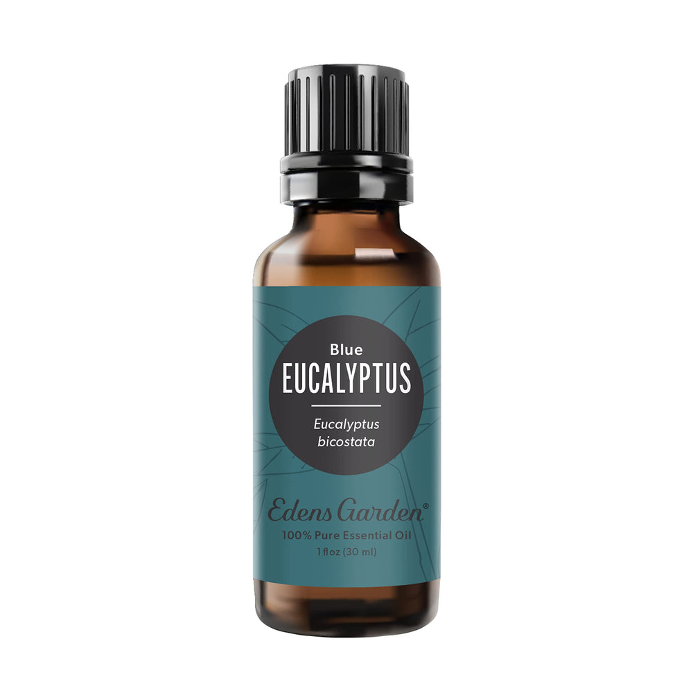 Edens Garden Eucalyptus-Blue essential oil bottle 30 ml on white