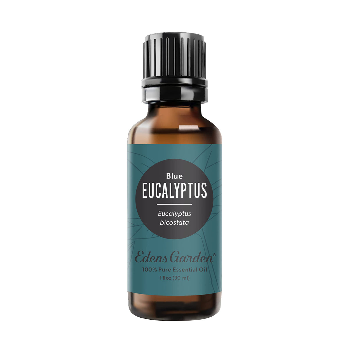 Edens Garden Eucalyptus-Blue essential oil bottle 30 ml on white