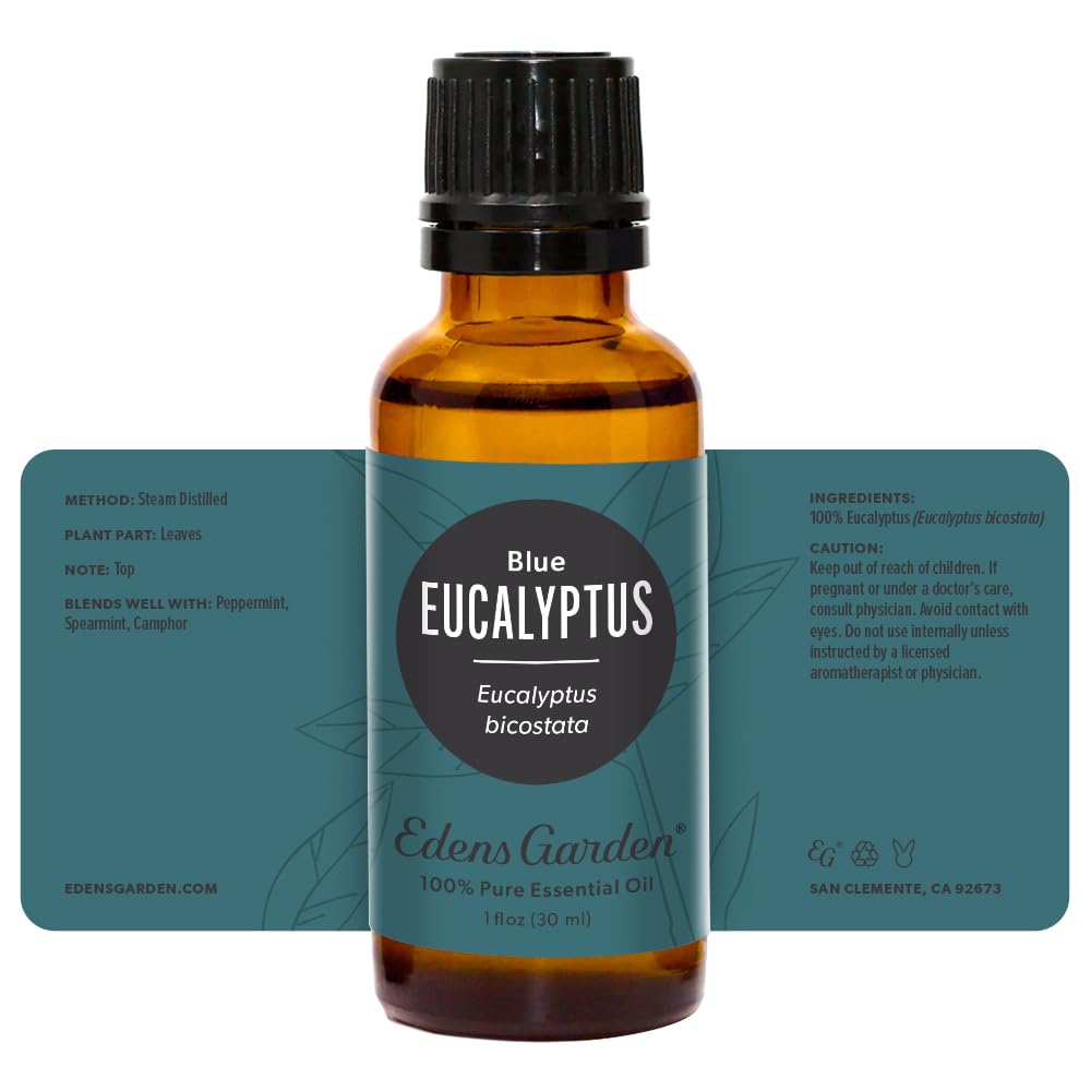 Diffuser-ready setup with Eucalyptus-Blue essential oil