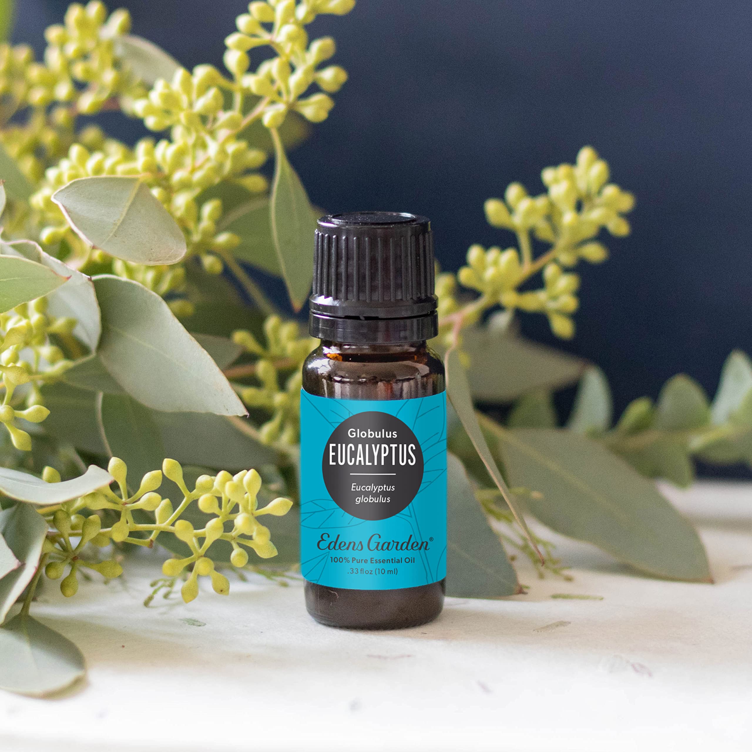 Close-up of label on Eucalyptus Globulus essential oil bottle