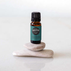 Diffuser with Edens Garden Eucalyptus Smithii essential oil