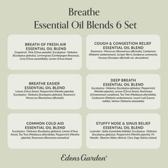 Aromatherapists providing support and guidance