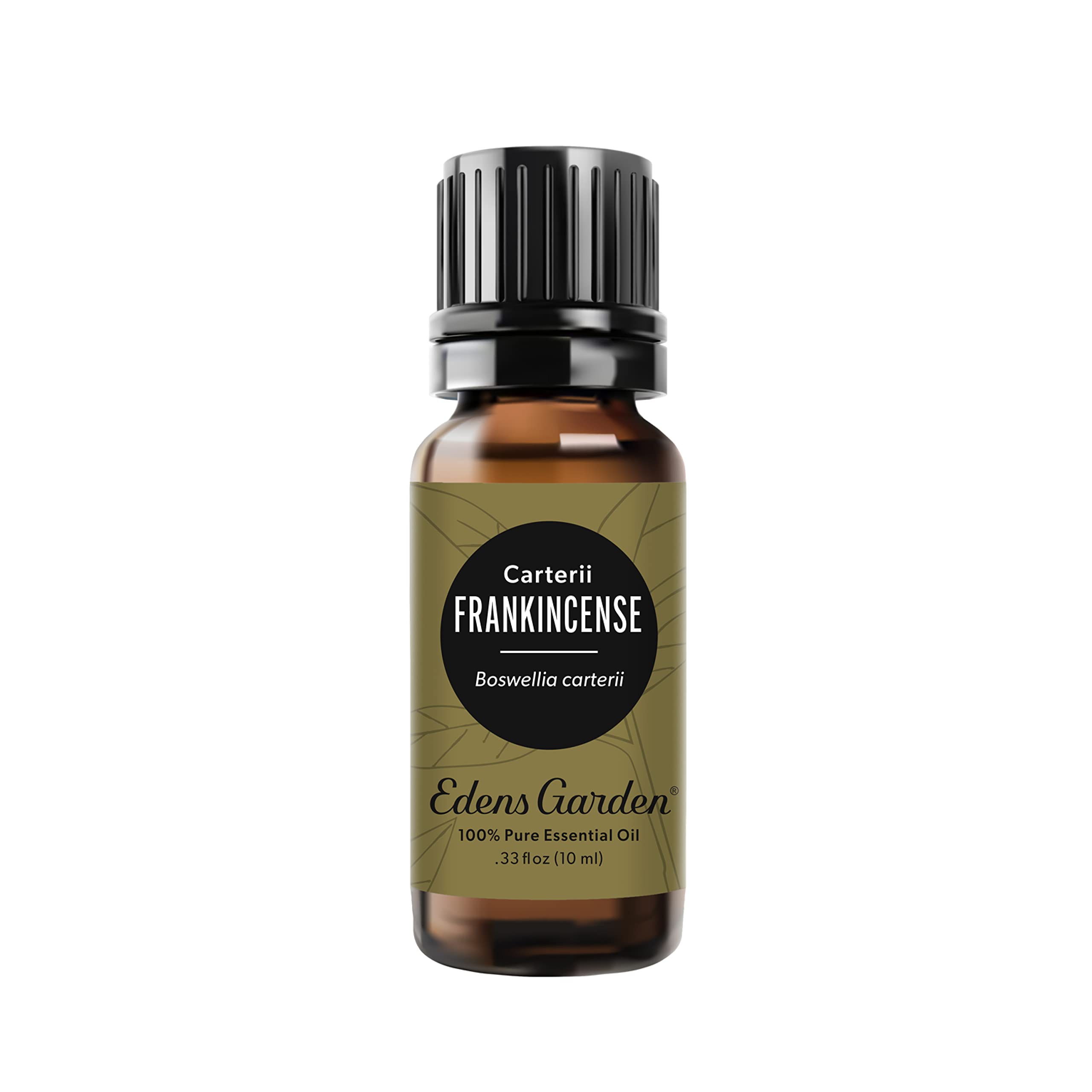 Edens Garden Frankincense Carterii essential oil bottle 10 ml on white